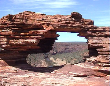 Nature's Window