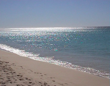 Coral Bay