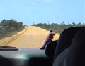 Travel