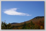 Trees and cloud