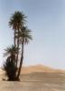 ../Baz/chebbi1.jpg (20 Kb)