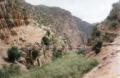 ../Baz/landybridge.jpg (46 Kb)
