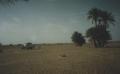 ../NonBaz/landypalmkids.jpg (18 Kb)