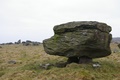 norber erratic